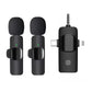 K15 3-in-1 Dual Microphone System